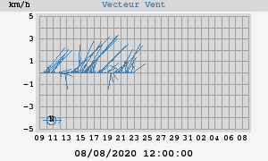 Wind Vector